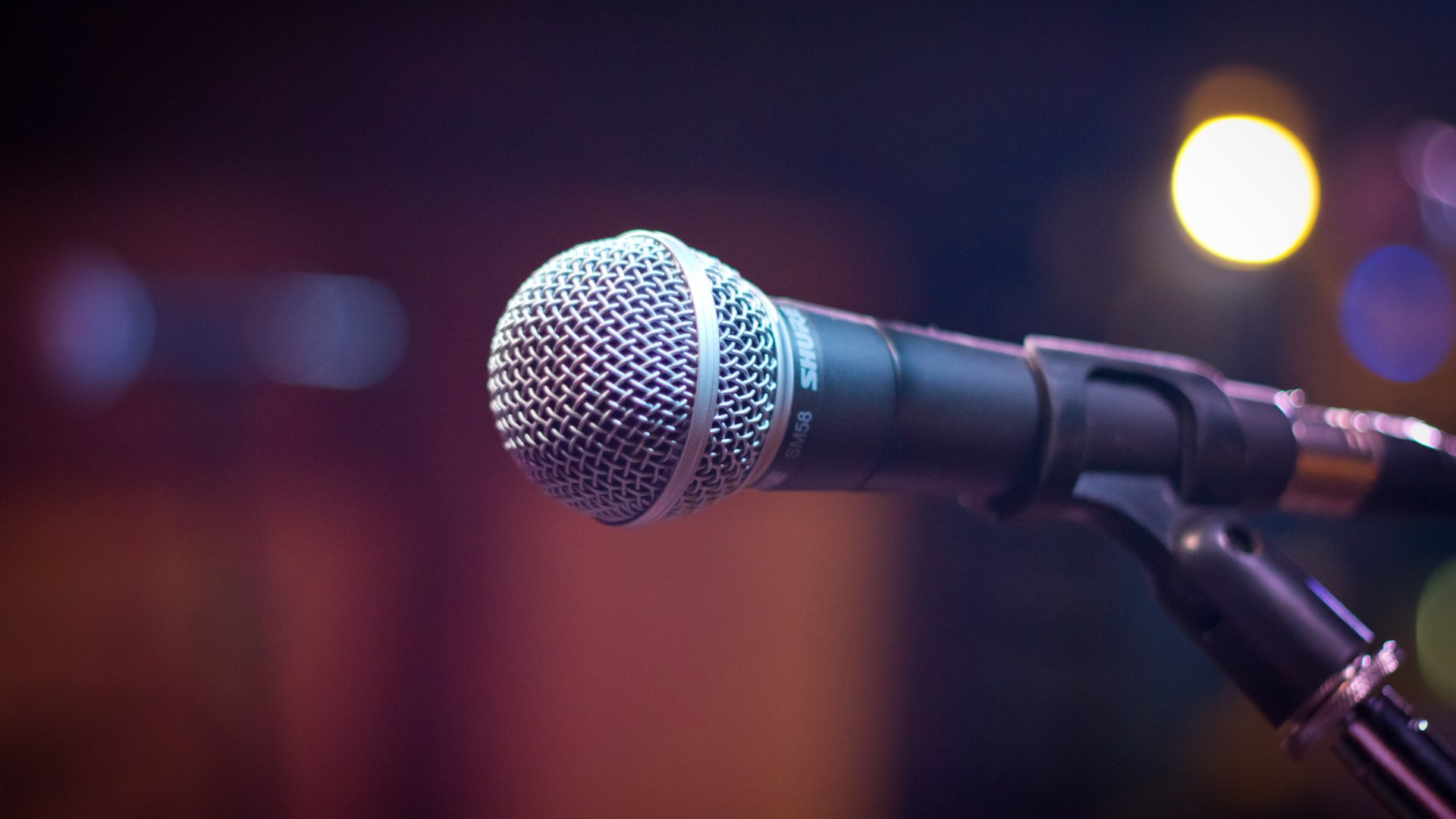 Speaker's Microphone